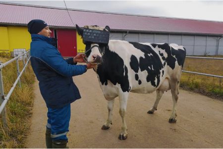 vr технологии