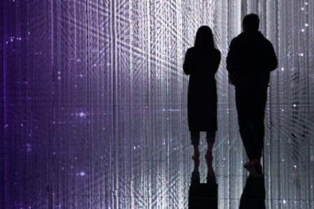 Borderless в Токио